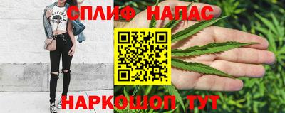 индика Канаш