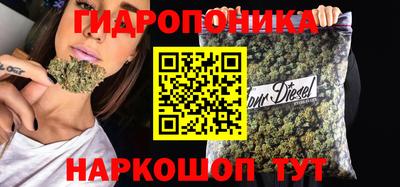 индика Канаш