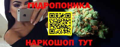 индика Канаш