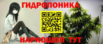 ALPHA PVP Кандалакша