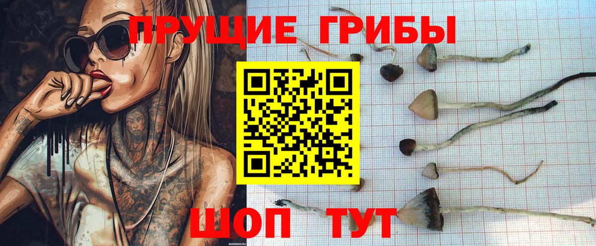 Псилоцибиновые грибы Magic Shrooms  Псилоцибиновые грибы GOLDEN TEACHER  Георгиевск  Вход с VPN 
