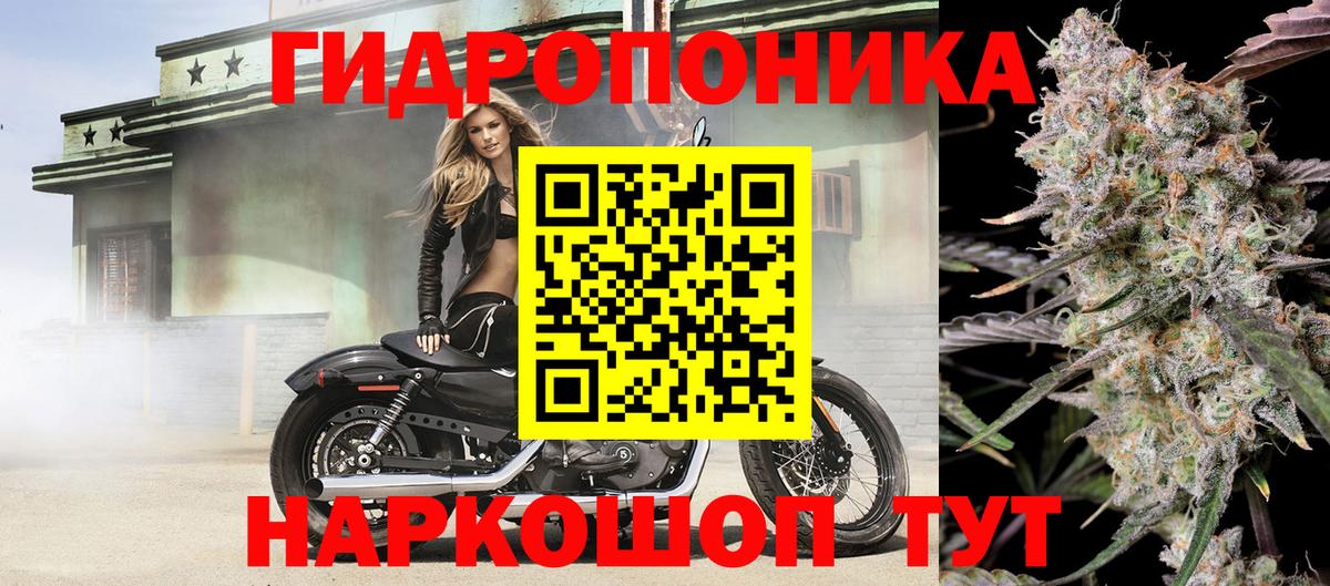 Каннабис VHQ  Бошки марихуана MAZAR  Георгиевск  Вход с VPN  МАРИХУАНА марихуана 
